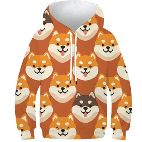 Pull sport Corgi pour l'école et les loisirs des ados de 11 à 13 ans