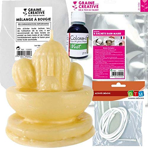 Graine Créative Kit Candele Fai da Te - Cactus