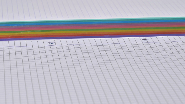 Fogli A4 A Quadretti Oxford - 250 Fogli Forati Con 5 Colori, Griglia 5x5 Per Appunti E Scuola