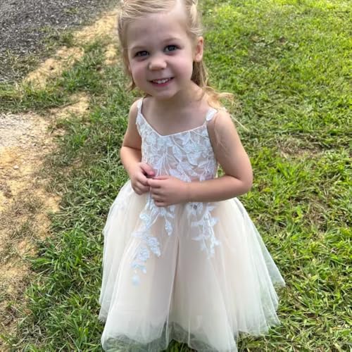 Tulle Appliques Flower Girl Dress Tea Length Lace Kid's Birthday Party Dress Girls Spaghetti Pageant Dress4