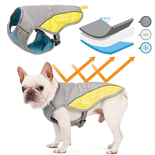 Veste rafraîchissante pour chien anti-UV gilet de refroidissement réfléchissant