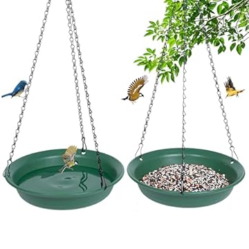 best bird feeders for florida scrub jays