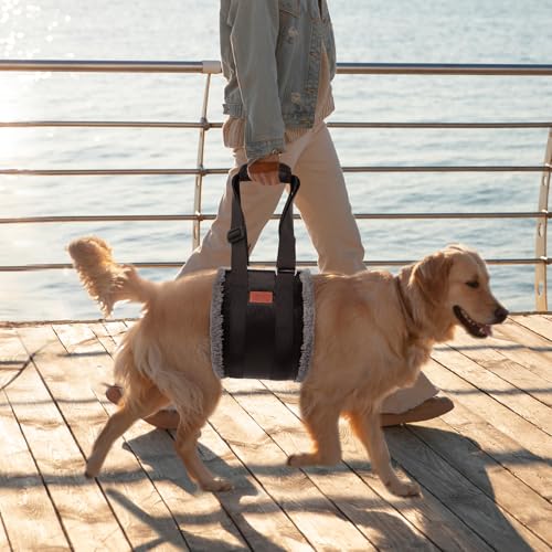 Verstellbare Hunde-Tragehilfe, Tragbarer Tragegurt zur Rehabilitation für behinderte, verletzte oder ältere Hunde - Hundegeschirr als Gehhilfe für kleine und große Hunde