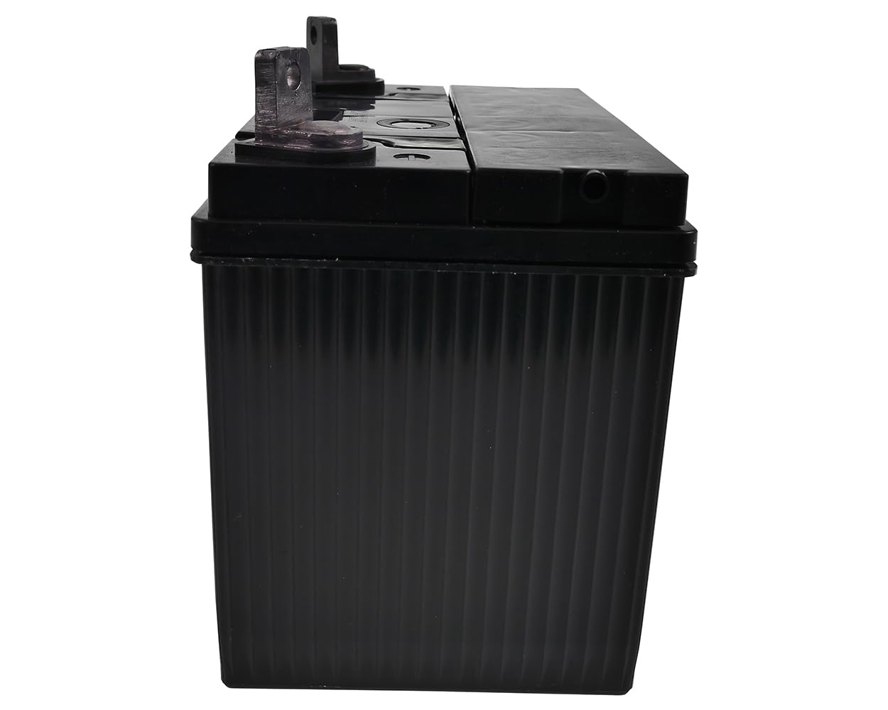 U1-300MF 53034 - Batería para tractor cortacésped SMF (12 V/24 Ah, 300 A, 53034)