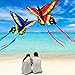 HENGDA KITE for Kids and Adults Amazing Colorful Butterfly Kite for Outdoor Games and Activities Single Line Kite with Flying Tools