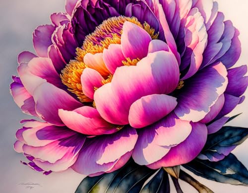 Affiches sur toile pivoine 58x90cm SERENDIPITP sans cadre