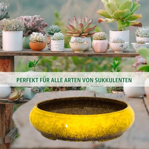 Sukkulententöpfe, Keramik-Bonsaischalen mit Ablaufloch, große Flache Pflanzschalen für Innen- und Außenpflanzen… – Ansicht 7