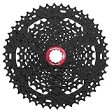 SunRace