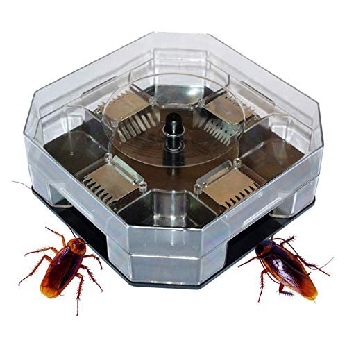 Featured products Incredible shopping paradise UPKOCH Cockroach Traps with Bait Pest Control