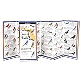 Earth Sky + Water FoldingGuide™ - Sibley’s Backyard Birds of Florida - 10 Panel Foldable Waterproof Nature Identification Guide