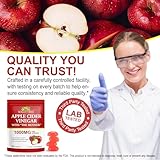 Apple Cider Vinegar Gummies 90Pcs, with Pomegranate & Beet Root Powder, Vitamin B6 B12, Folic Acid, Provides Antioxidant Support, Apple Cider Vinegar with The Mother - Image 4