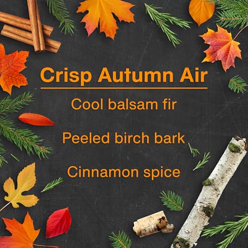 Image of LITTLE TREES Car Air Freshener | Hanging Tree Provides Long Lasting Scent for Auto and Home | Crisp Autumn Air, 24 Air Fresheners