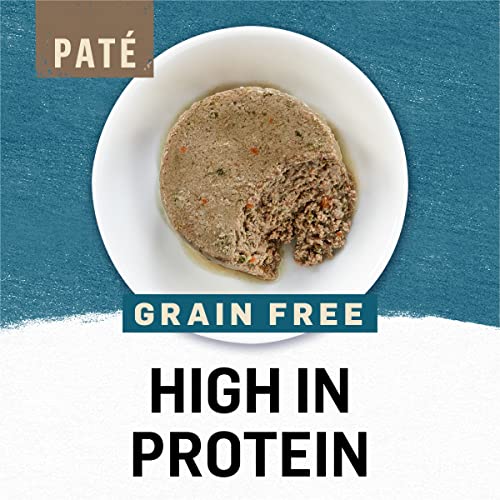 Purina Beyond Grain Free Arctic Char And Spinach Recipe Wet Cat Food Pate - (12) 3 Oz. Cans #TOP1
