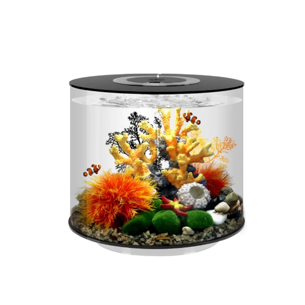 Acquario cilindrico acrilico for pesci d'acquario