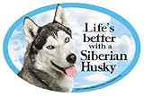 Qualität ist ausgezeichnet Prismatix Aufkleber Cat und Dog Magnete, Siberian Husky