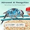 BROAIMX Smart Bird Feeder with Camera-AI Identify 11,000+ Species, 2K HD Auto Capture Birds Video & 64G TF Card, Solar-Powered Wireless Outdoor Design, Birdhouse with Built-in Two-Way Microphone #1