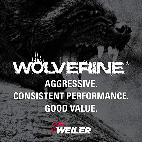 Image of Weiler 56128 2-Inch Cutting Wheel, Wolverine AO Steel /Metal Fast Cut, Value Cutting, 0.035 inch A60T Type 1 3 /8 inch Arbor (Pack of 100)