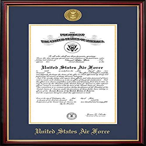 Campus Images AFCPT00111x14 Air Force Certificate Petite Frame with Gold Medallion, 11