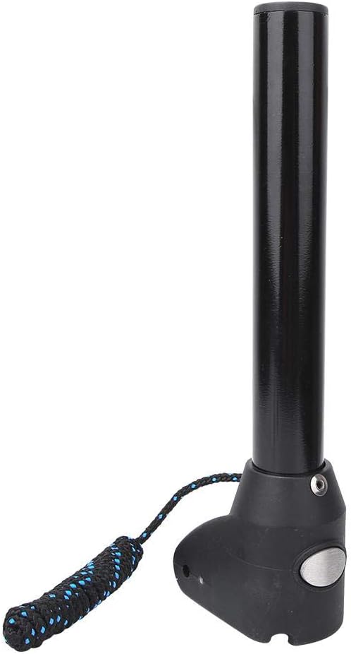 basi alberi da windsurf