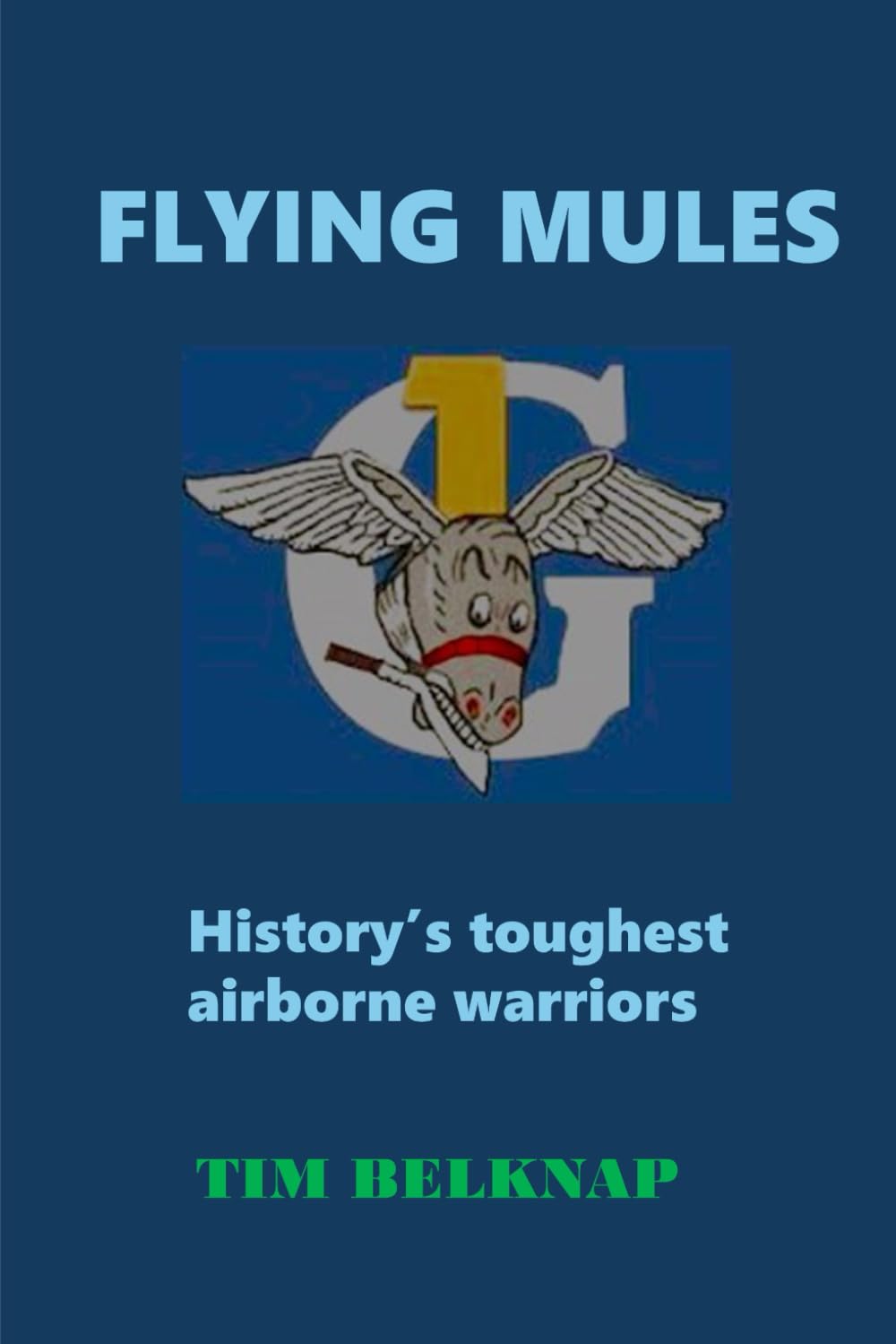 Flying Mules: History's toughest airborne warriors