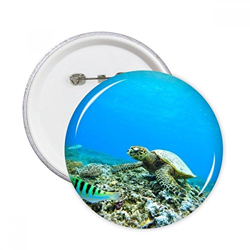 Badge rond océan sciences avec attache robuste pour customiser veste et sac lot de 5 XL