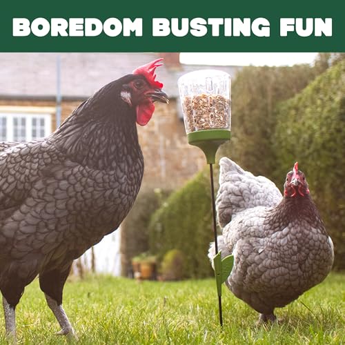Image of Omlet Poppy Chicken Peck Toy | Interactive Foraging & Pecking Enrichment Toy for Hens | Slow-Feed Treat Dispenser | Reduces Boredom & Feather Pecking | 300g Feed Capacity | 2 Designs