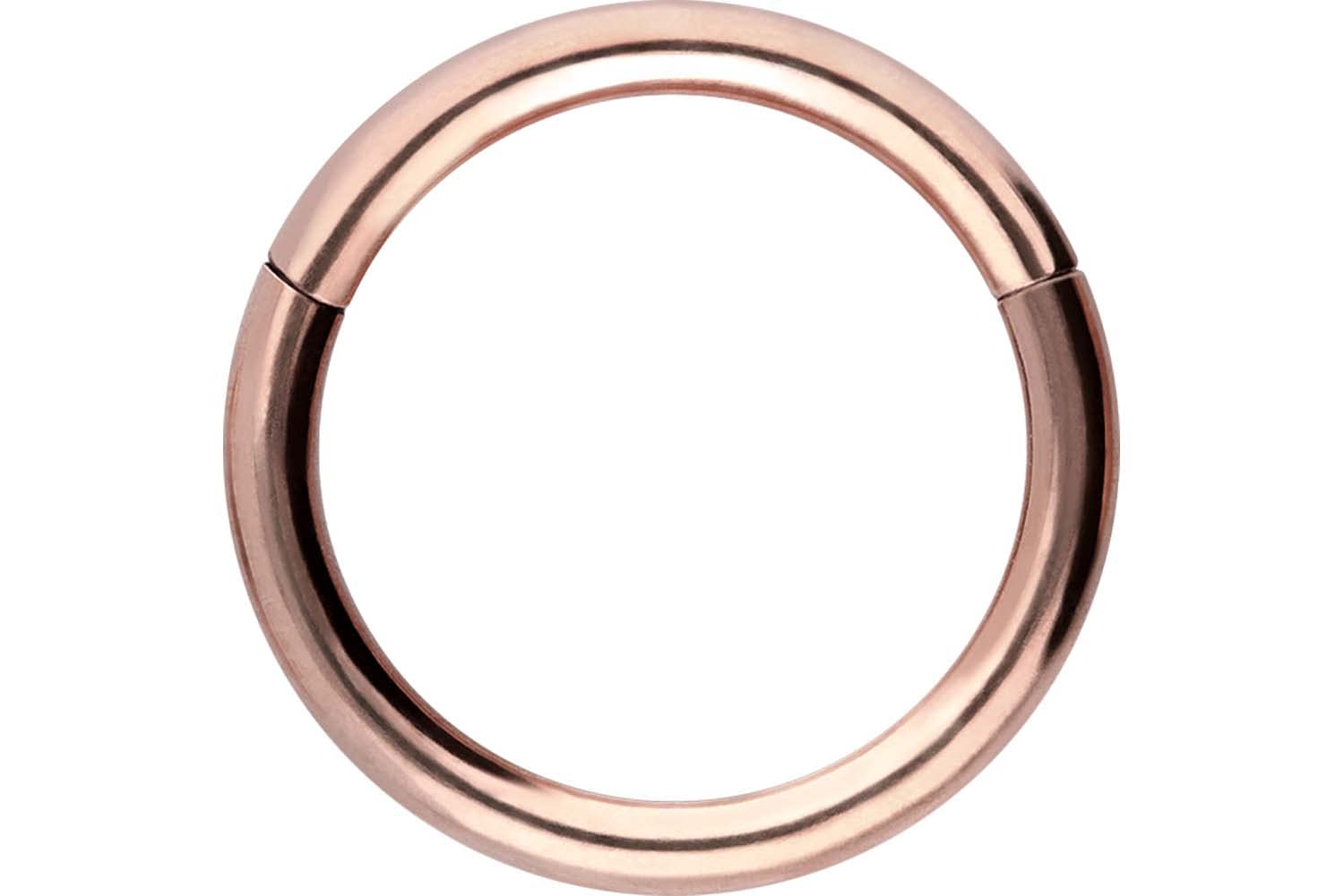 PIERCINGLINE Anillo segmento Clicker de acero quirúrgico – Piercing en oro, plata, rosa, negro o azul – para nariz, tabique, oreja, hélice o tragus — view 119