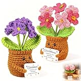 2 Stück Gehäkelte Blumen Glücksbringer, Häkelblume Kleine Geschenke für Frauen Freundin Mama, Positive Kartoffel Deutsch Ersatz Serien, Geschenke für Kollegin Ehefrau, Weihnachten, Geburtstag