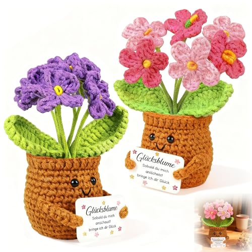 2 Stück Gehäkelte Blumen Glücksbringer, Häkelblume Kleine Geschenke für Frauen Freundin Mama, Positive Kartoffel Deutsch Ersatz Serien, Geschenke für Kollegin Ehefrau, Weihnachten, Geburtstag
