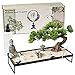 BangBangDa Japanese Meditation-Decoration - Home Office Bonsai Decor for Table Desk - Buddha Rock Sand Tabletop Decor Gifts for Women Man Friends