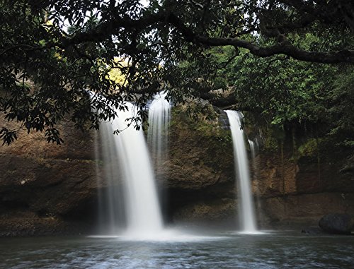 JP London MD91034UMBPS Peel and Stick Hidden Forest Waterfall Rocks Full Wall Mural, 10.5-Feet by 8-Feet