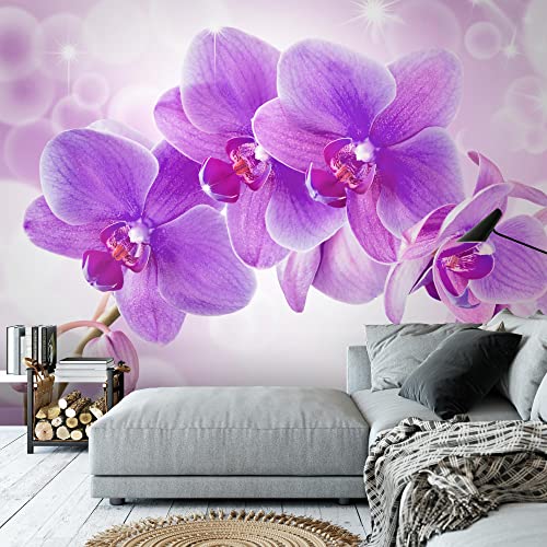 Runa Art Carta da parati fotografica 396 x 280 cm