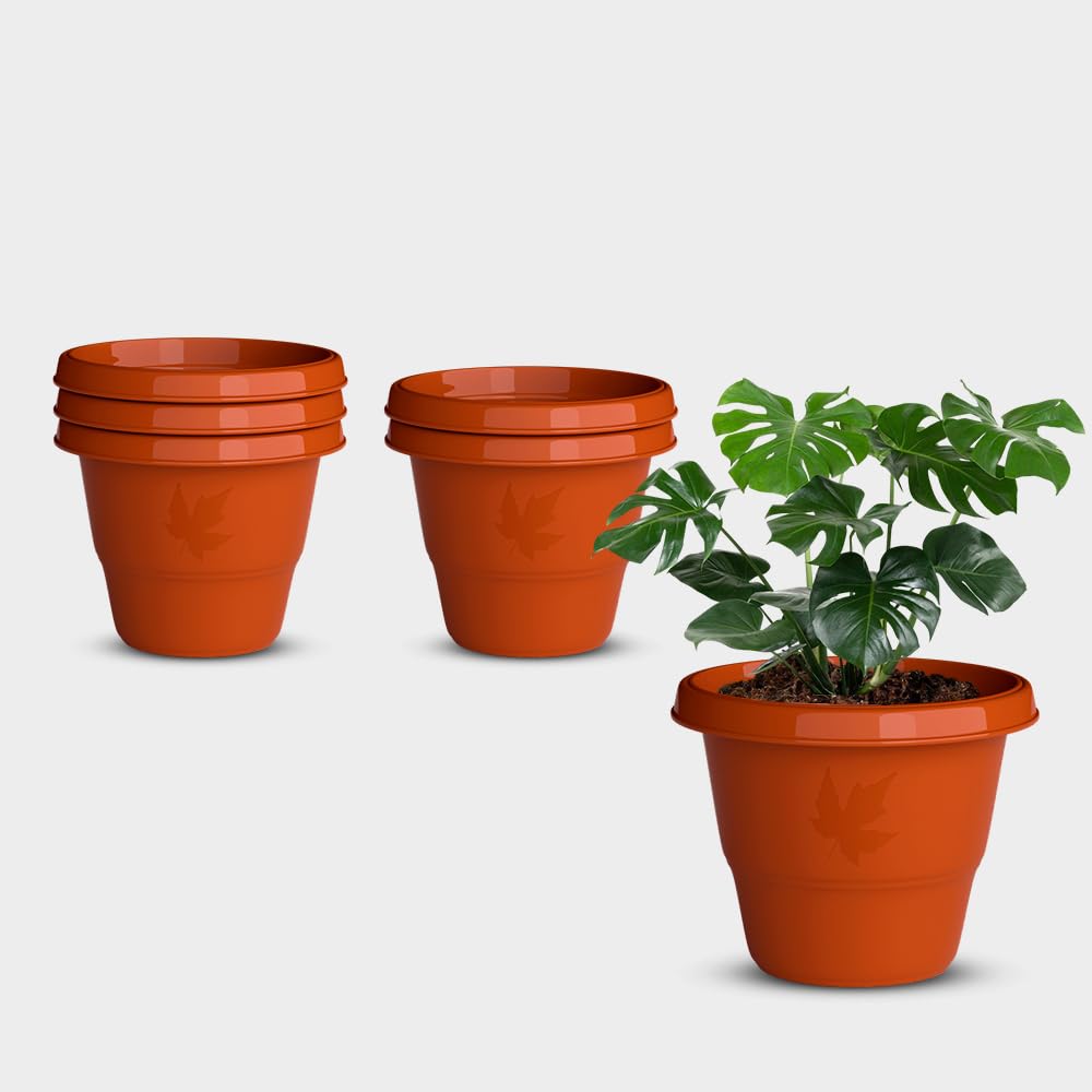 YUCCABE Italia Shera Flower Pots - Set of 3 -32 YUCCABE Italia Shera Flower Pots - Set of 3 -32