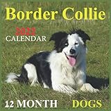 Border Collies Dogs Calendar 2022: Official Border Collies 2022 Calendar (12 Months) ,Dogs Calendar...
