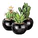 Artificial Maintenance Free 3 Piece Mini Cactus Set, Green