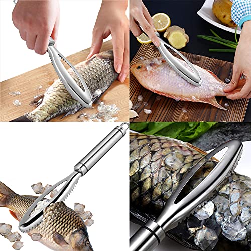 Foto von Esteopt Fischentschupper, Fischentschupper Edelstahl entferner Fisch entschuppen, Profi Fisch Scaler Scraper Fischschaber Küchenhelfer