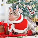 QKURT Disfraz de Navidad para Mascotas, Capa Perro Navidad, Traje de Navidad para Gatos, Perrito Navidad Rojo Capa, Disfraces para Perros Y Gatos Navidad, Ropa para Mascotas de Navidad 4 QKURT Disfraz de Navidad para Mascotas, Capa Perro Navidad, Traje de Navidad para Gatos, Perrito Navidad Rojo Capa, Disfraces para Perros Y Gatos Navidad, Ropa para Mascotas de Navidad