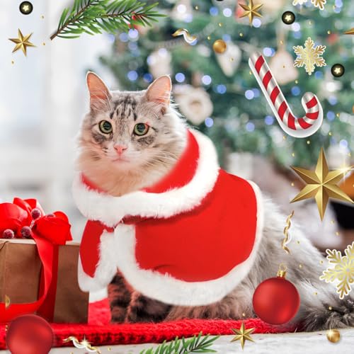 QKURT Disfraz de Navidad para Mascotas, Capa Perro Navidad, Traje de Navidad para Gatos, Perrito Navidad Rojo Capa, Disfraces para Perros Y Gatos Navidad, Ropa para Mascotas de Navidad 2 QKURT Disfraz de Navidad para Mascotas, Capa Perro Navidad, Traje de Navidad para Gatos, Perrito Navidad Rojo Capa, Disfraces para Perros Y Gatos Navidad, Ropa para Mascotas de Navidad