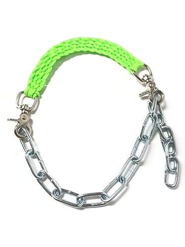 goat show collar with chain neon lime, optional goat lead