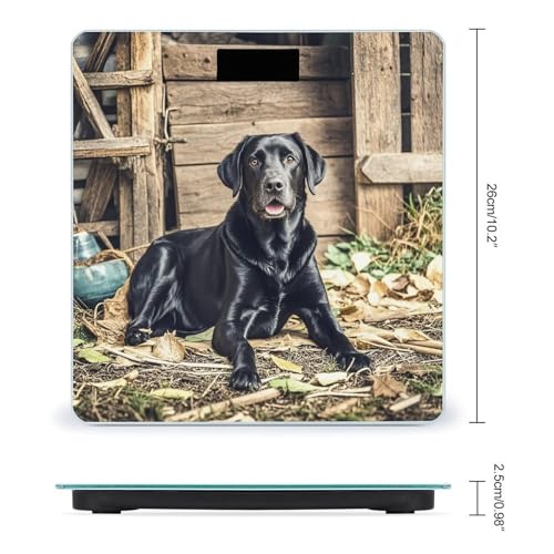 Báscula digital de baño VstaDank vidrio templado miniatura 2