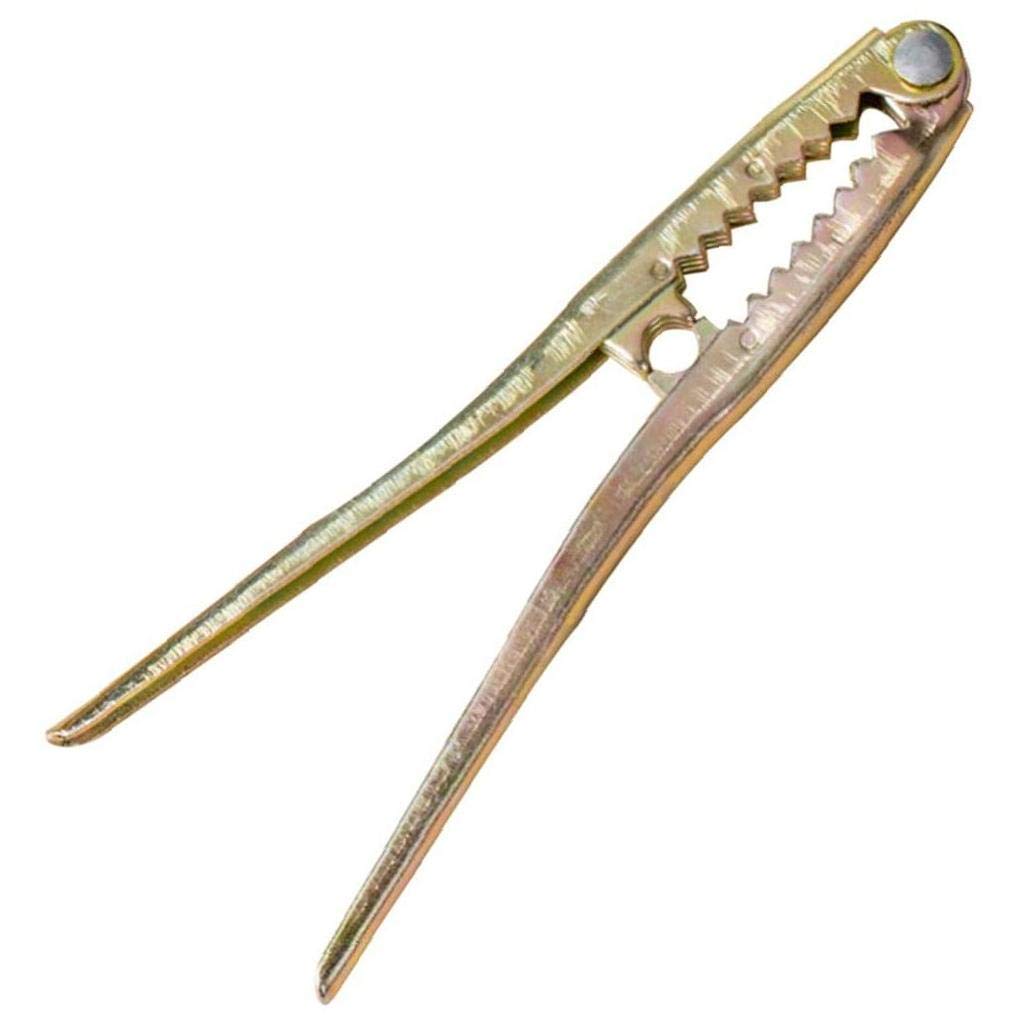 Kitchen Nutcracker Sheller Crack Almond Walnut Pecan Hazelnut Filbert Nut Sheller Hand Plier