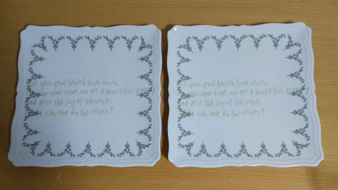 ジノリ ミナペルホネン皆川明さん コラボ スクエアプレート 2枚