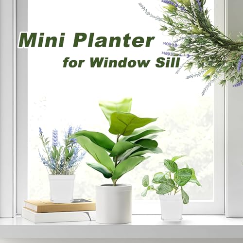 Anyumocz 24Pcs 3\" Square Plastic Plant Pots,White Nursery Pots with Saucers,Seedling Nursery Transplanting Planter Container for Plants,Garden,Flower,Home,Office,Balcony Decor,Indoor,Outdoor - Thumbnail 4