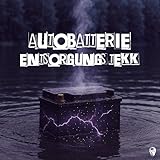 AUTOBATTERIE ENTSORGUNGS TEKK