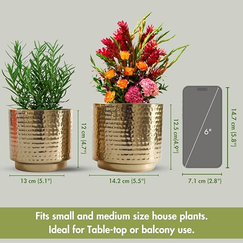 Image of BEHOMA Hammered Gold Metal Mini Tabletop Planters Set of 2 | | Pot for Indoor Outdoor Balcony Living Room | Table Plant Pot for Gifting (Plant not Included)