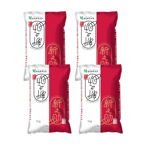 yāzVY VV 20kgi5kg×4܁j