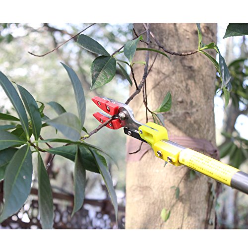 iLOT Long Reach Bypass Pruning Shears and Scissors in Garden for Tree Branches, Fruits and Pond Cleaning etc. - Thumbnail 2