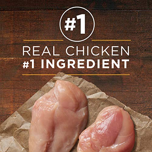Purina ONE Natural Pate Wet Dog Food, SmartBlend Chicken & Brown Rice Entree - (12) 13 oz. Cans - Image 5