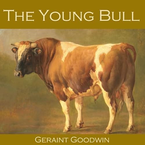 The Young Bull cover art