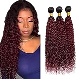 Burgundy Bundles Ombre Kinky Curly Human Hair Bundles Two Tone Black and Wine Red Bundles Human Hair Brazilian Virgin Hair 3 Bundles 10 12 14 Inch Red Curly Bundles Human Hair Weave